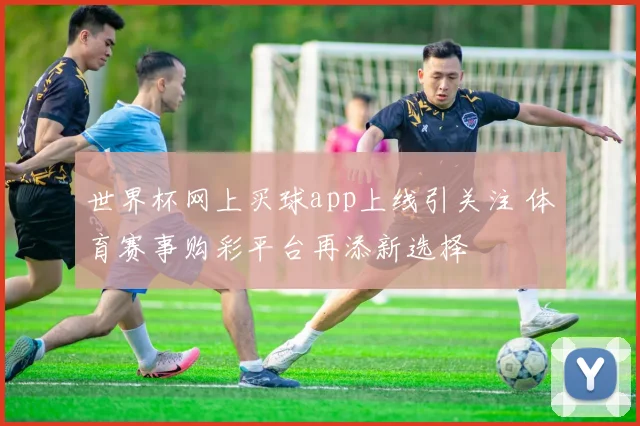 世界杯网上买球app上线引关注 体育赛事购彩平台再添新选择