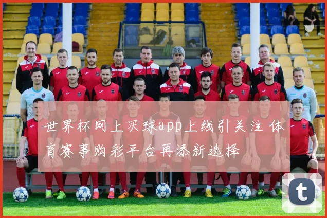 世界杯网上买球app上线引关注 体育赛事购彩平台再添新选择