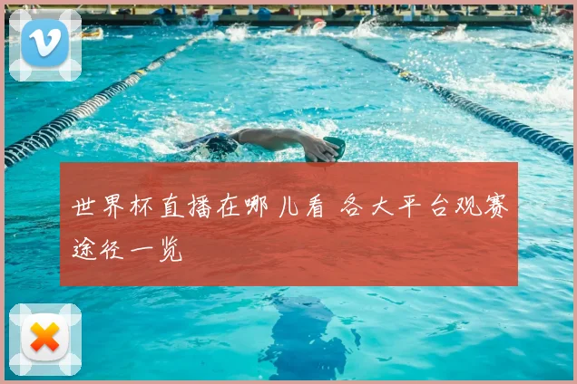 世界杯直播在哪儿看 各大平台观赛途径一览