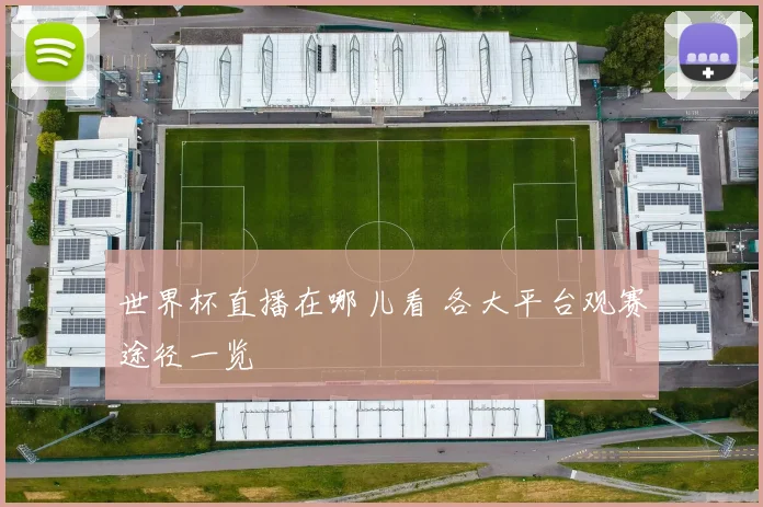 世界杯直播在哪儿看 各大平台观赛途径一览