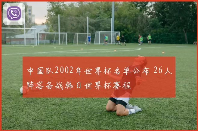 中国队2002年世界杯名单公布 26人阵容备战韩日世界杯赛程